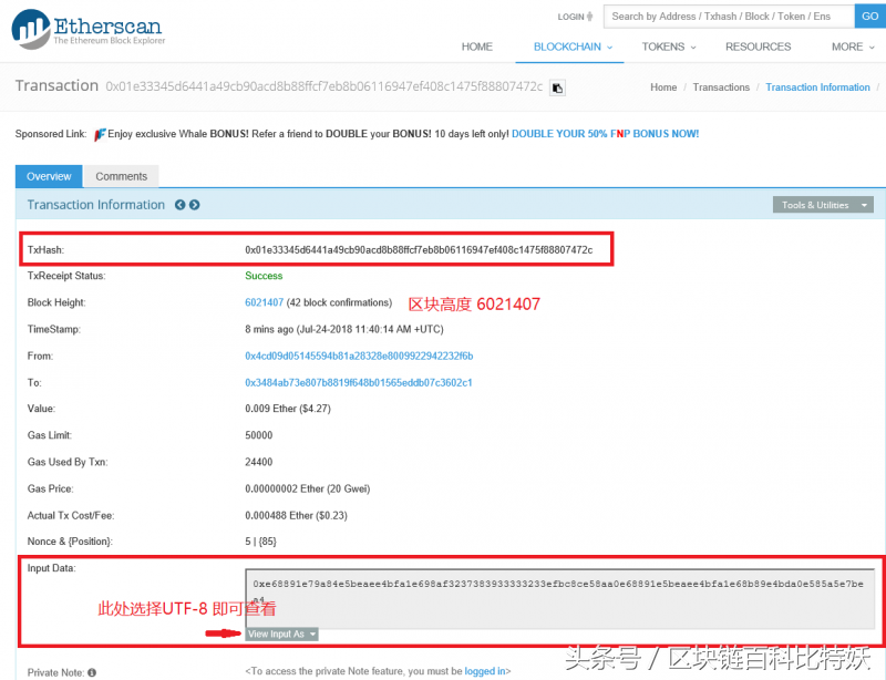 imtoken钱包密码找回_imtoken钱包是什么_imtoken钱包助记词无效