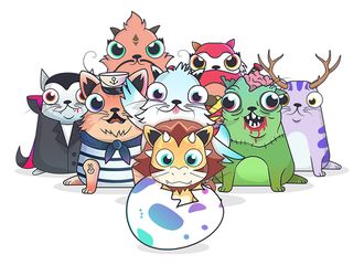 钱包使用风水_钱包使用教程_Trust钱包如何使用DApp