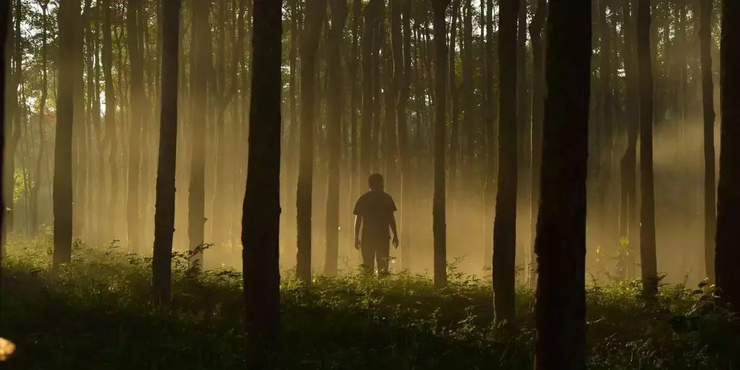 转账记录能隐藏吗_转账隐藏名字_im钱包怎么隐藏转账记录