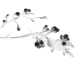 imtoken官网下载链接_imtoken官网下载教程_imToken官网版下载地址