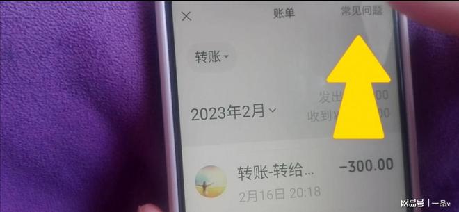 im钱包怎么隐藏转账记录_转账隐藏名字_转账记录能隐藏吗
