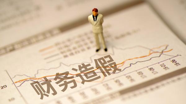 财务造假防范措施__财务造假防范与治理建议