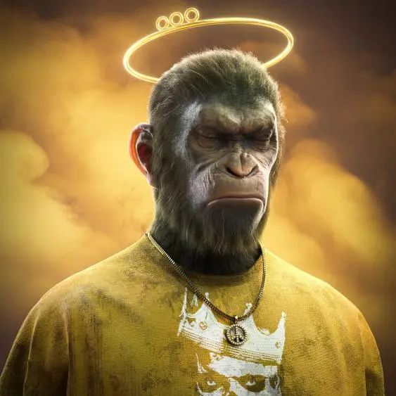 imToken钱包·(中国)官方网站_钱包官方下载_钱包平台