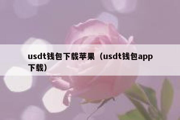 usdt钱包app下载_钱包下载官方最新版本安卓_钱包下载安装