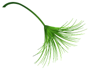 imtoken钱包怎么样转_imtoken钱包怎么样转_imtoken钱包怎么样转