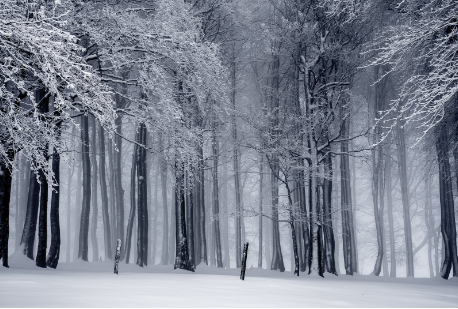 imtoken安装不到手机里_(imtoken busd)