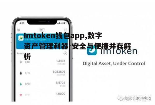 Imtoken钱包app,数字资产管理利器-安全与便捷并存解析