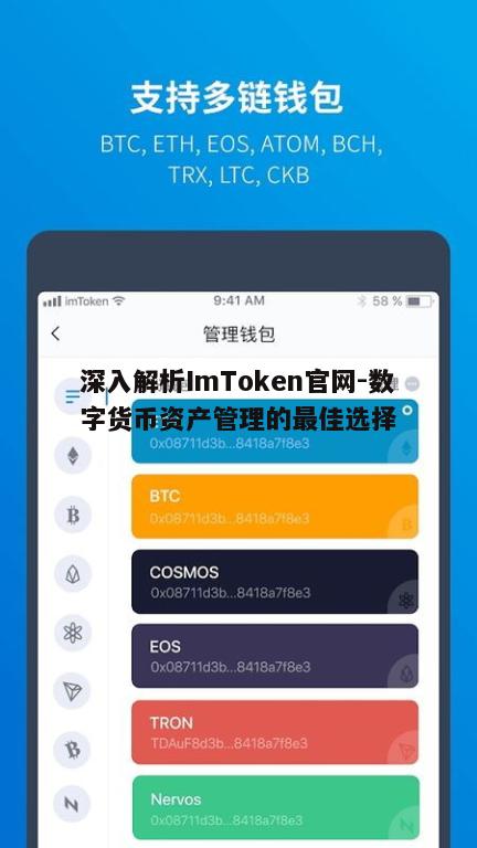 五、如何通过ImToken官网进行资产交易